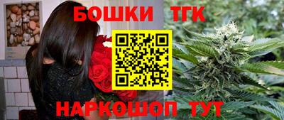 spice Кингисепп