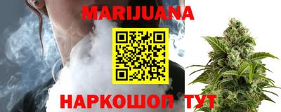 spice Кингисепп