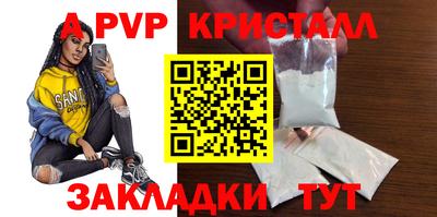 spice Кингисепп