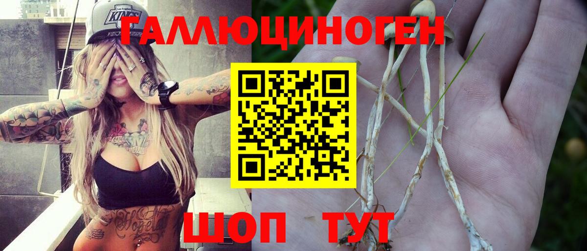 магазин продажи наркотиков  Псилоцибиновые грибы мухоморы  Вход с VPN  Киселёвск 